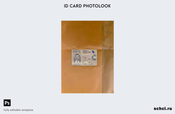 цифровая загрузка Босния и Герцеговина Id шаблон фотоизображения ПЕРЕДНЯЯ сторон